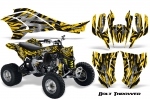 Can-Am Bombardier DS450 EFI Graphics Kit