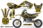 Kawasaki KLX110 2002-2009 Graphics Kit