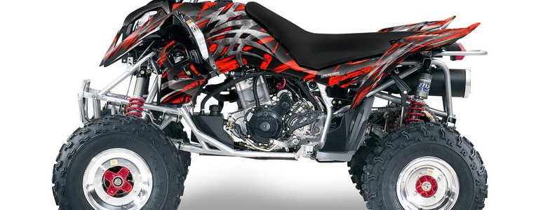 Yamaha Raptor 250 Decal Graphic Kit Quad ATV Wrap Deco Racing Parts 08-14 REAP U 